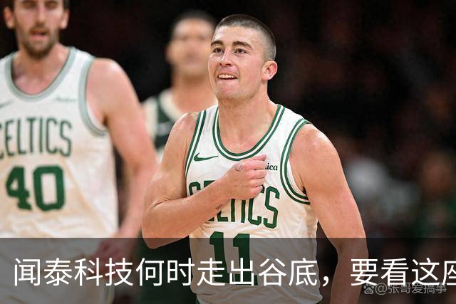 闻泰科技何时走出谷底，要看这座“兄弟”工厂的？